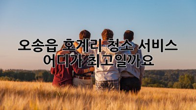 오송읍 호계리 청소 서비스, 어디가 최고일까요?